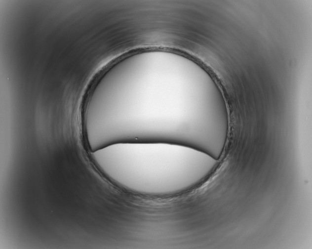 X0000094940982200711291018