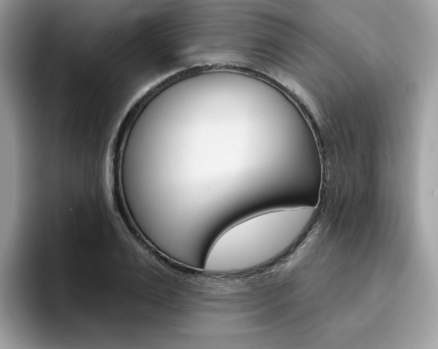 X0000094940983200711291017