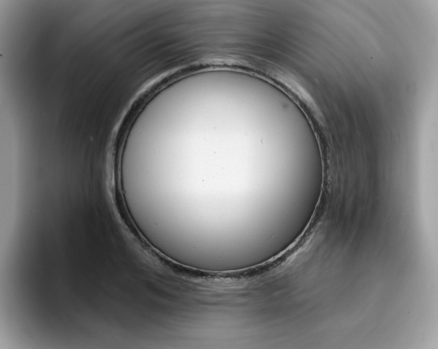 X0000094940984200711291017