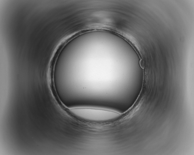 X0000094940987200711291017