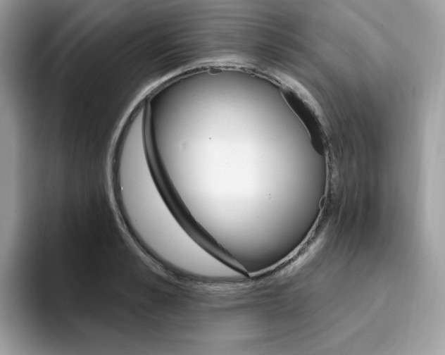 X0000094940989200711291017
