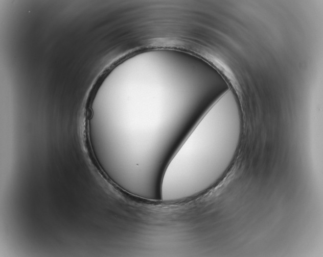X0000094940992200711291017