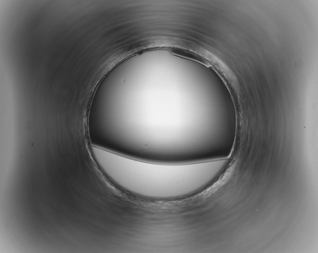 X0000094940993200711291017