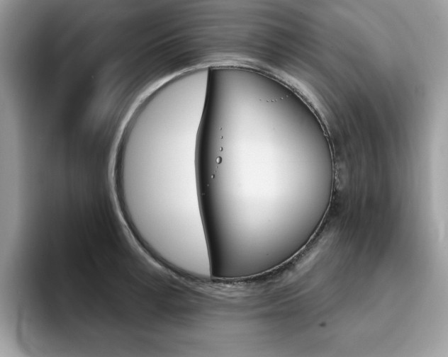 X0000094940995200711291017