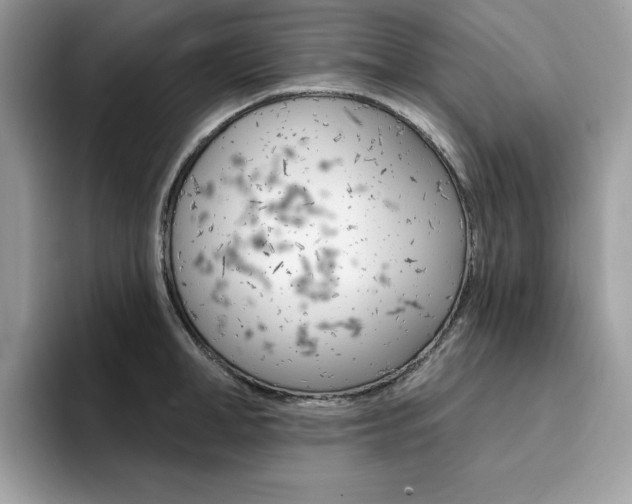 X0000094940998200711291017