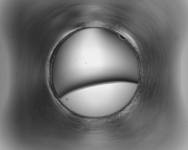 X0000094941000200711291017