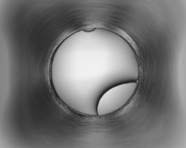 X0000094941002200711291017