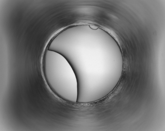 X0000094941003200711291017