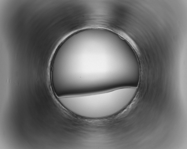 X0000094941004200711291017