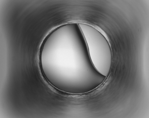 X0000094941005200711291017