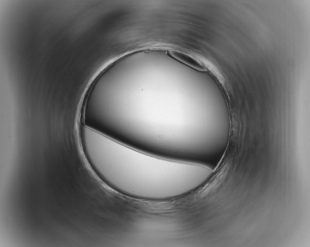 X0000094941007200711291017
