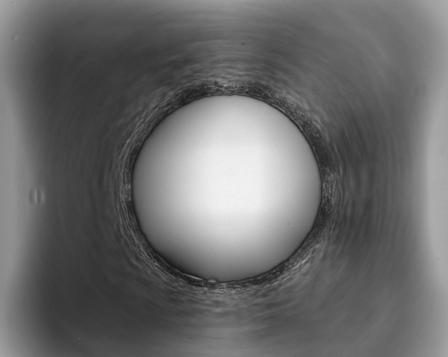 X0000094941009200711291017