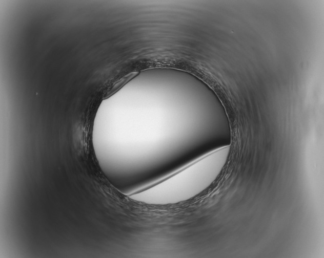 X0000094941010200711291017
