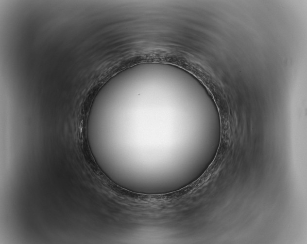 X0000094941013200711291017