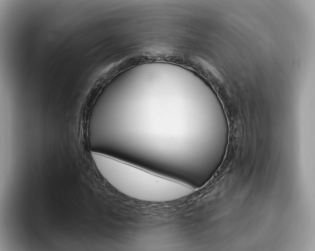 X0000094941016200711291017