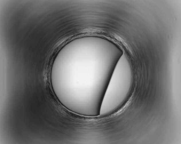 X0000094941017200711291017