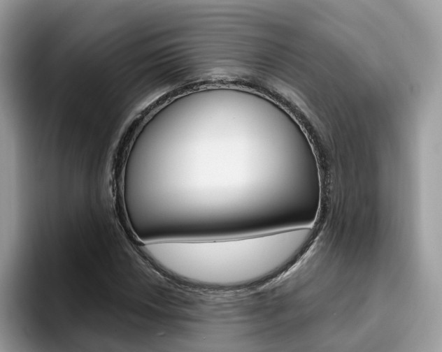 X0000094941018200711291017