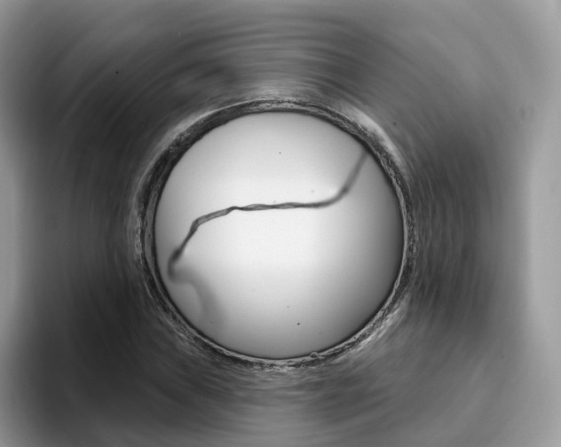 X0000094941019200711291017