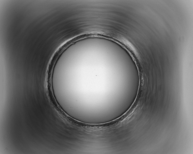 X0000094941020200711291017