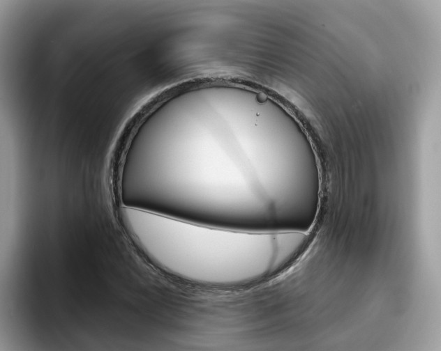X0000094941022200711291017