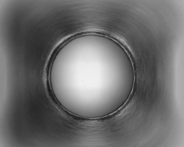 X0000094941024200711291017