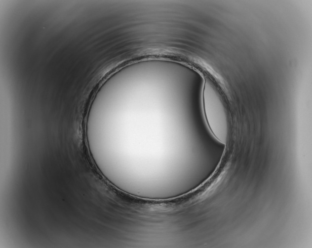 X0000094941025200711291017