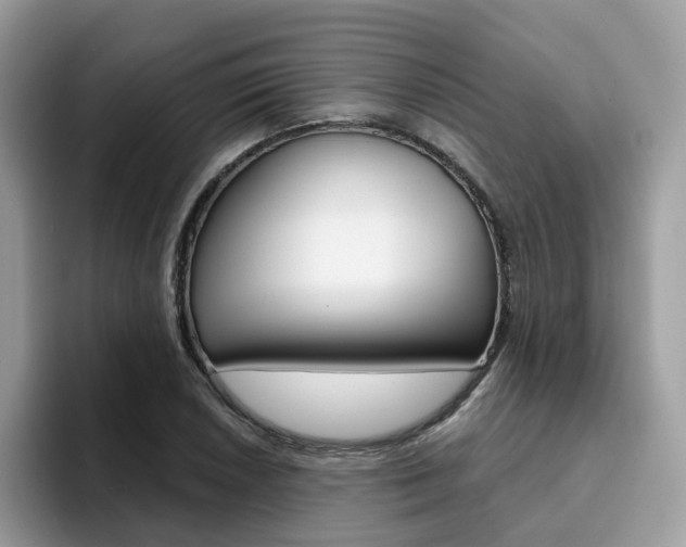X0000094941026200711291017