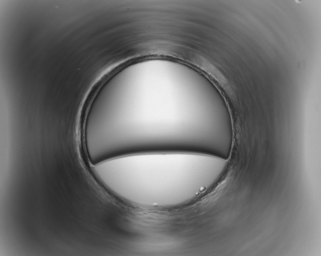 X0000094941028200711291017