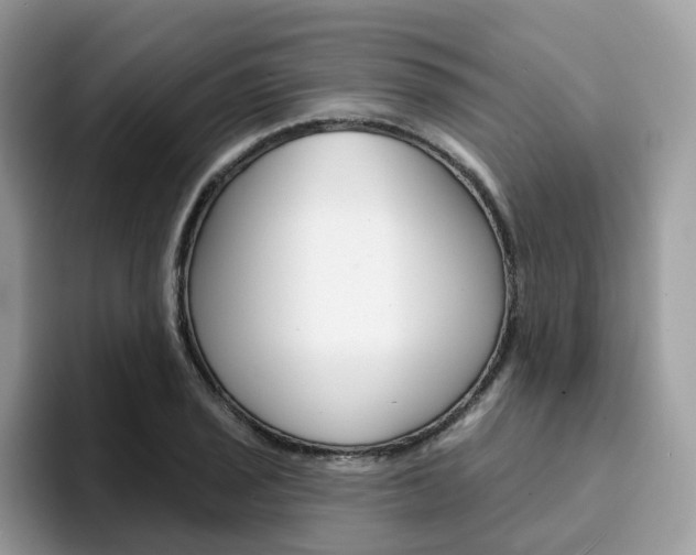 X0000094941029200711291017