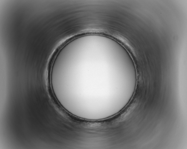 X0000094941030200711291017