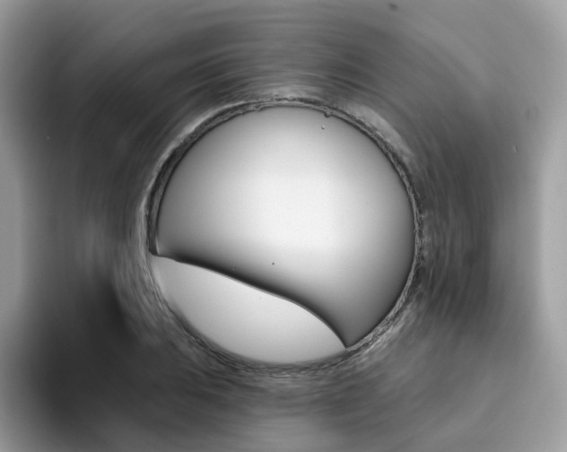 X0000094941031200711291017