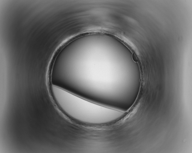 X0000094941037200711291017
