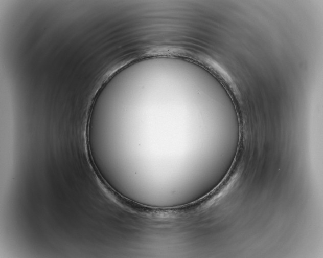 X0000094941041200711291017