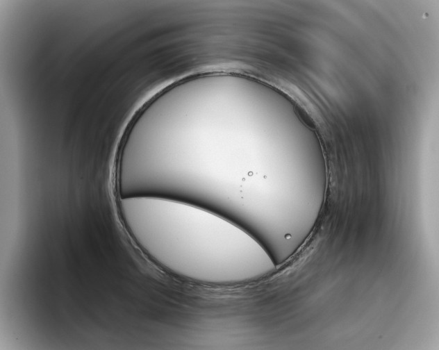 X0000094941044200711291017