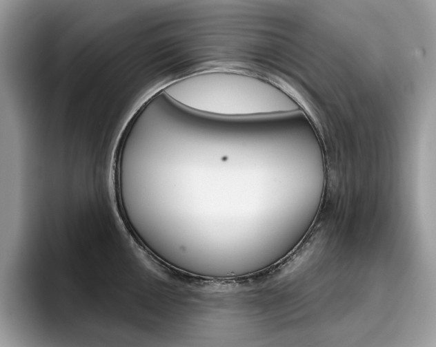 X0000094941050200711291017