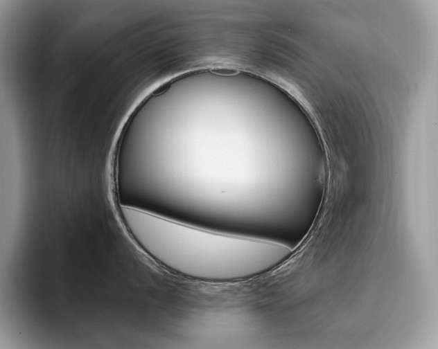 X0000094941056200711291017