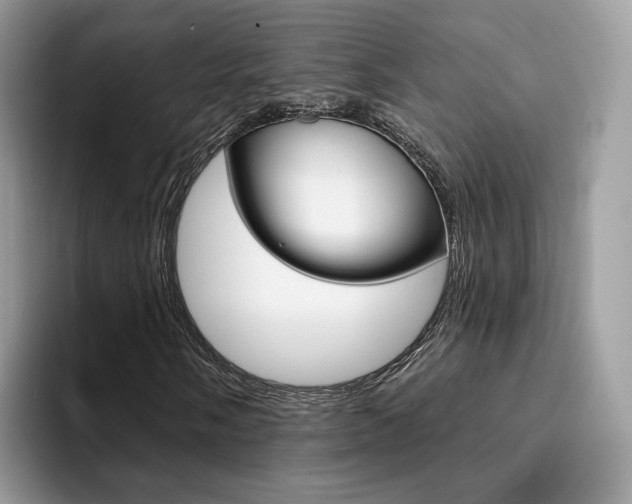 X0000094941058200711291017