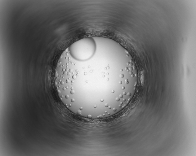 X0000094941059200711291017