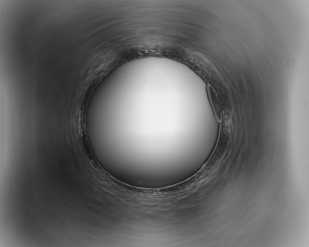 X0000094941060200711291016