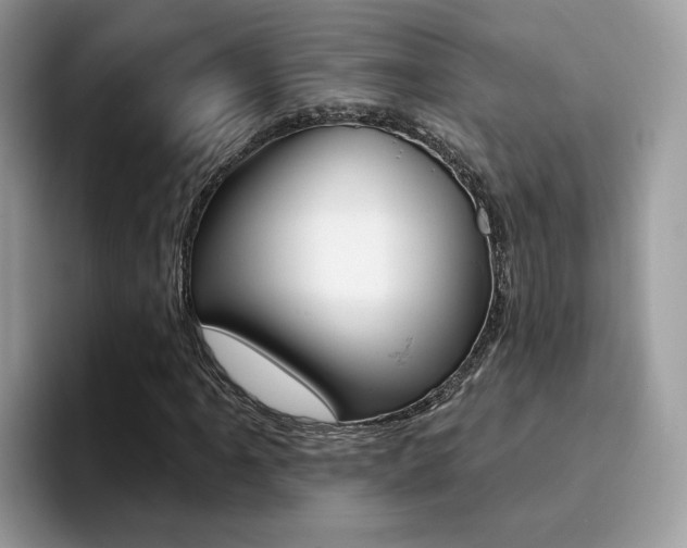 X0000094941061200711291016