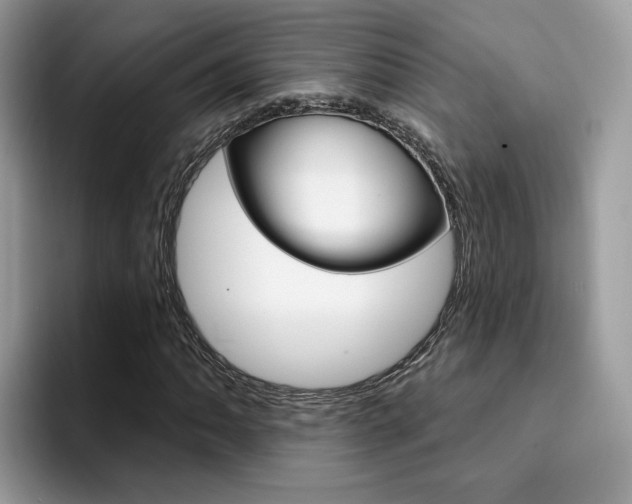 X0000094941062200711291016