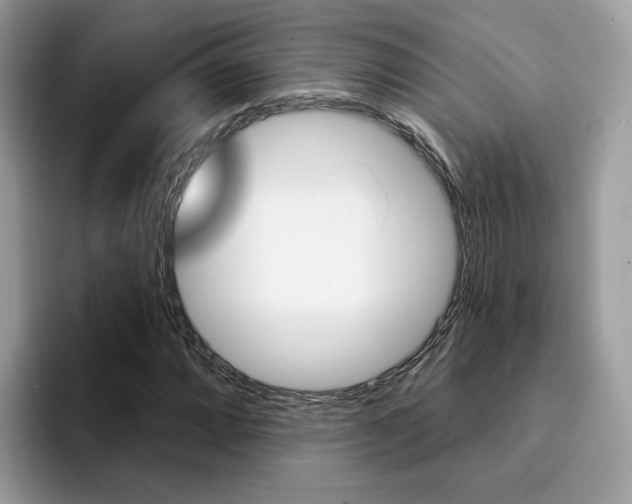 X0000094941064200711291016