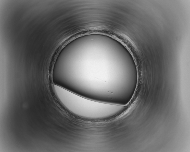 X0000094941065200711291016