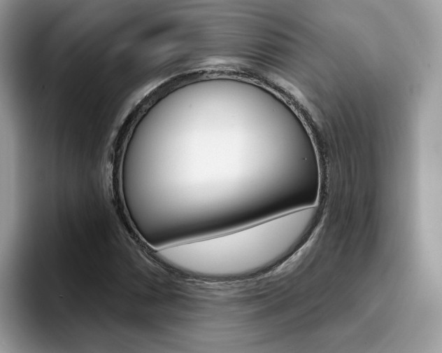 X0000094941066200711291016
