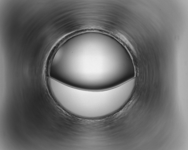 X0000094941068200711291016