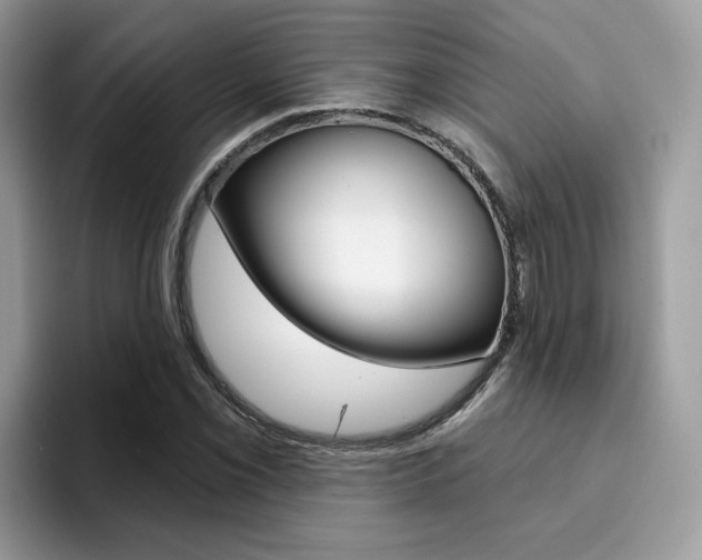 X0000094941069200711291016