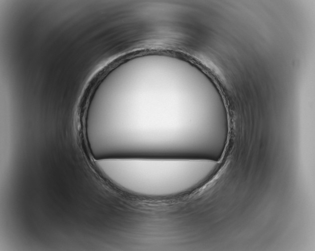 X0000094941070200711291016