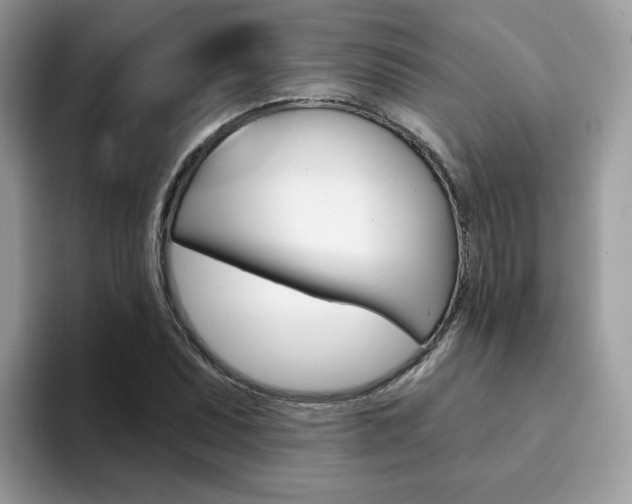 X0000094941071200711291016