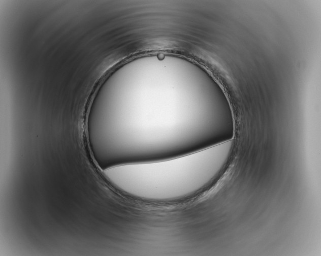 X0000094941073200711291016