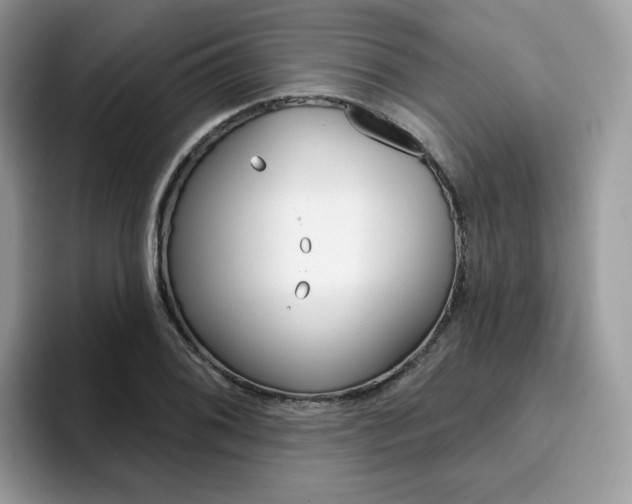 X0000094941076200711291016
